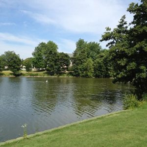 Fabbrini Park - Hoffman Estates Park District