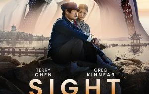 movie poster for sight