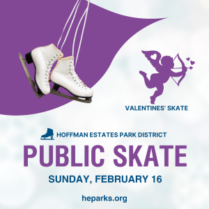 Valentine Public Skate